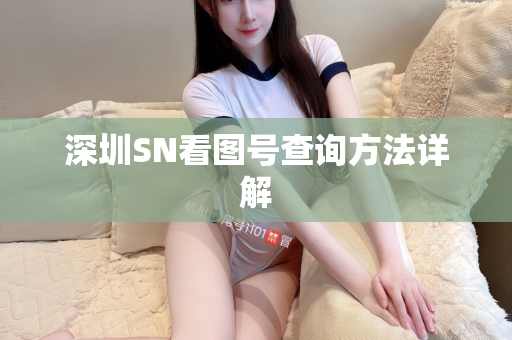 深圳SN看图号查询方法详解