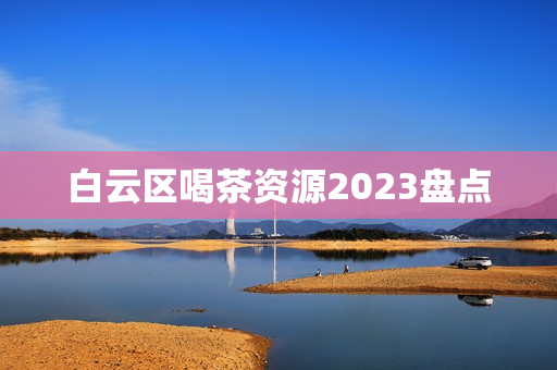 白云区喝茶资源2023盘点