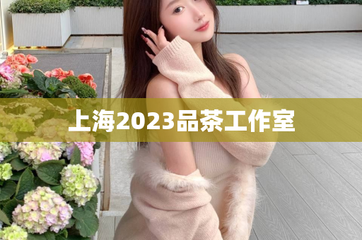 上海2023品茶工作室第1张-深圳外围预约