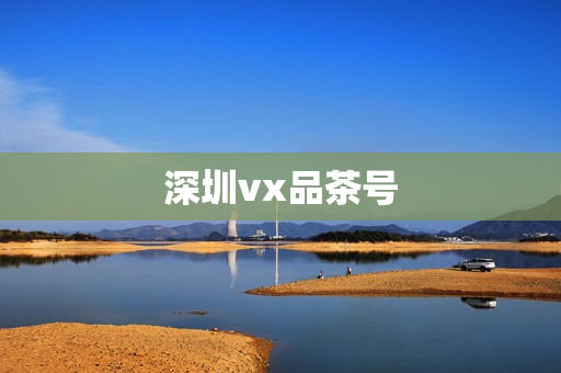 深圳vx品茶号第1张-深圳外围预约