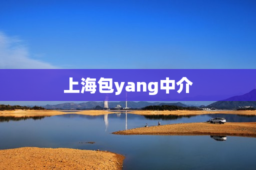 上海包yang中介第1张-深圳外围预约