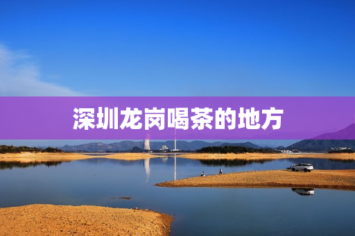 深圳龙岗喝茶的地方第1张-深圳外围预约