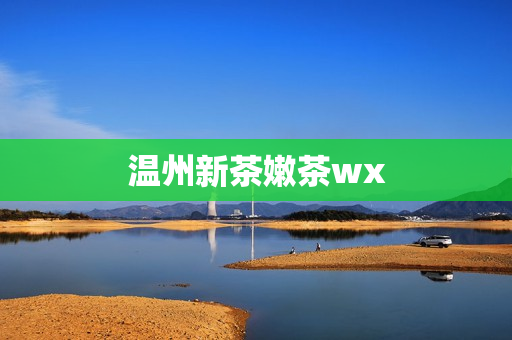 温州新茶嫩茶wx