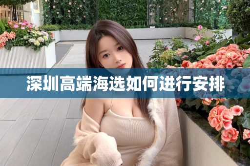 深圳高端海选如何进行安排