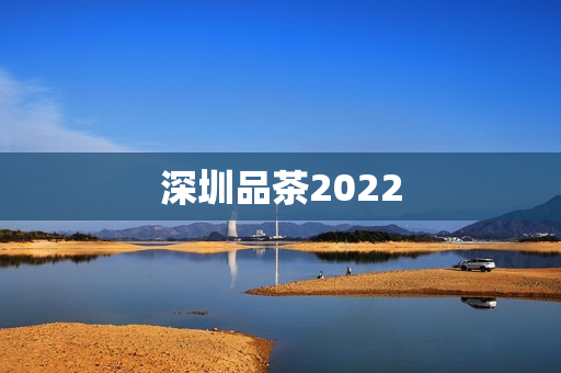 深圳品茶2022