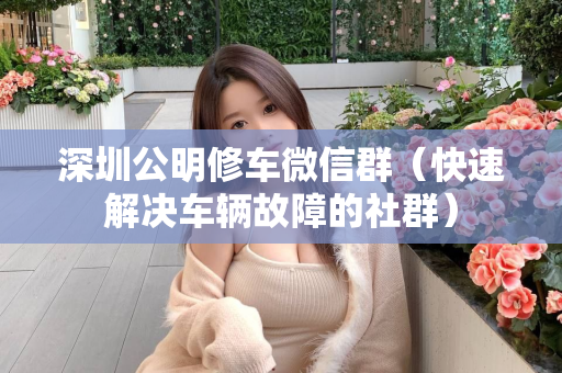 深圳公明修车微信群（快速解决车辆故障的社群）