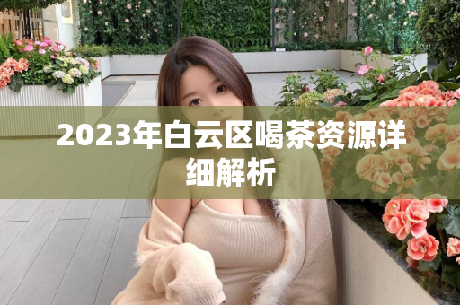 2023年白云区喝茶资源详细解析