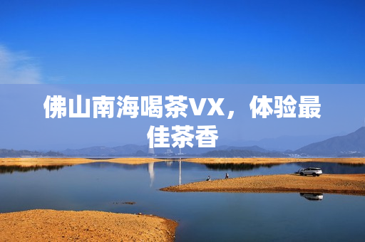 佛山南海喝茶VX，体验最佳茶香第1张-深圳外围预约