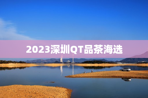 2023深圳QT品茶海选第1张-深圳外围预约