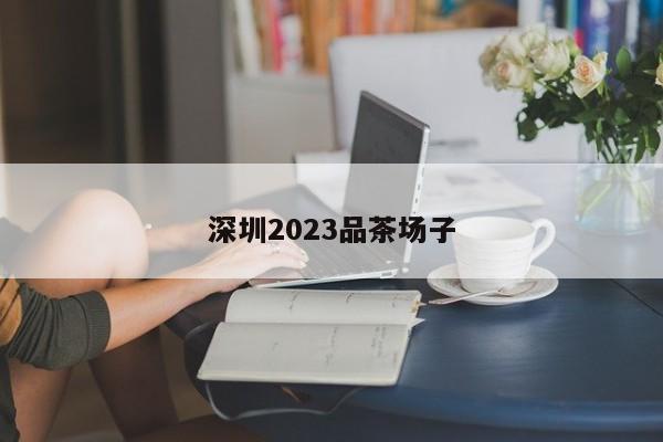 深圳2023品茶场子第2张-深圳外围预约